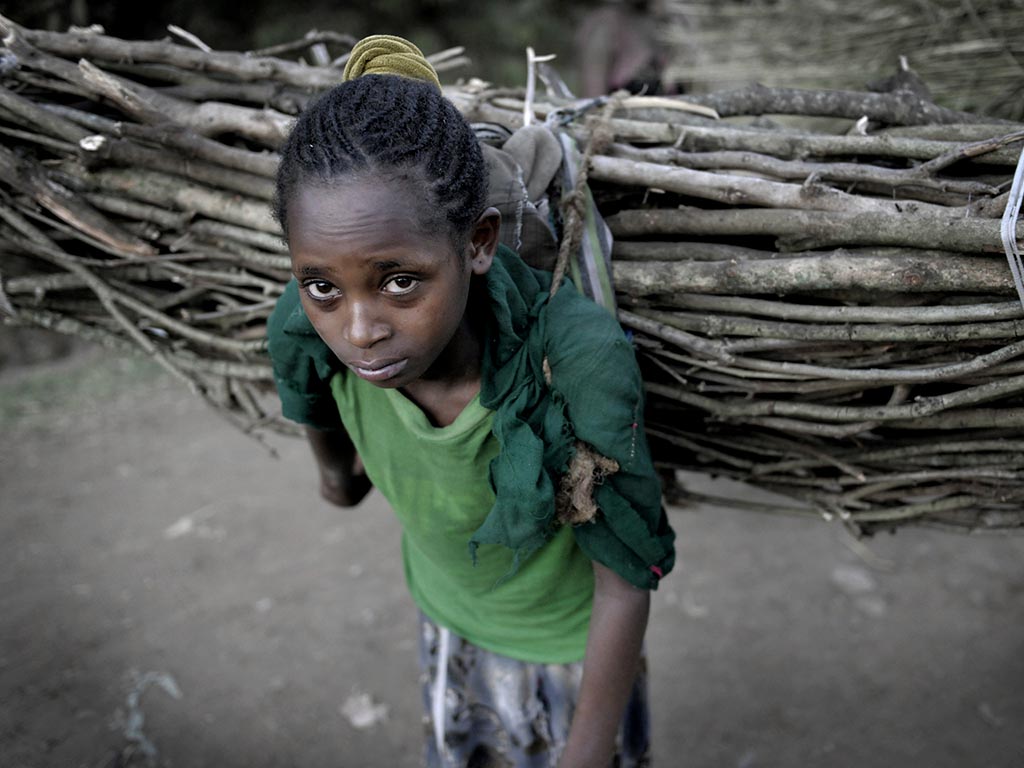 Almaze Dagne, 8, Etiopien